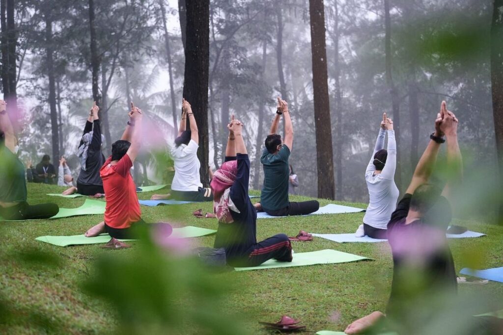 pariwisata wellness