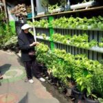 gaya hidup urban
