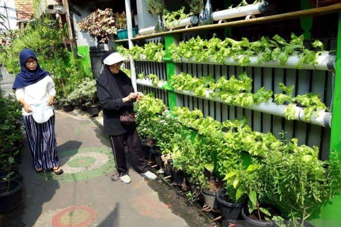 gaya hidup urban