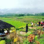 traveling Indonesia